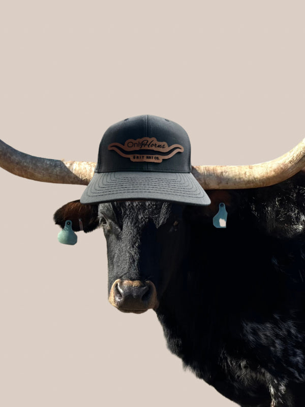 OnlyHorns Hat